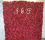 whole-red-rose-flower-wall