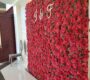 beautiful-rose-flower-wall-rental