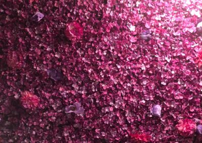 Purple Flower Wall Rental