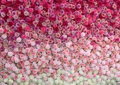 Kent Gradient Ombre Flower Walls Rental