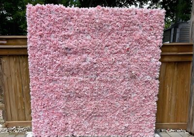 Laredo Pink Blush Flower Walls Rental