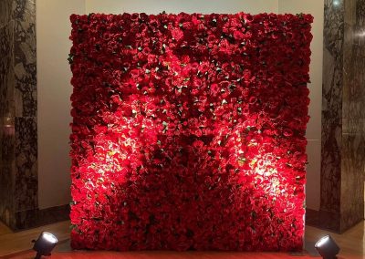 Macon Red Rose Flower Walls Rental