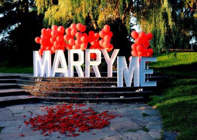 Naperville Marry Me Marquee Letters Rental
